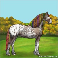 Horse Color:Painted Chocolate Blue Onyx Ice Pearl Sabino Appaloosa 