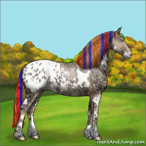 Horse Color:Painted White Spotted Chocolate Classic Champagne Ice Pearl Sabino Appaloosa