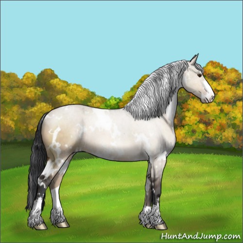 Horse Color:White Spotted Bay Dun Sabino Rabicano