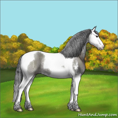 Horse Color:Grullo Sabino Splash Tobiano Rabicano