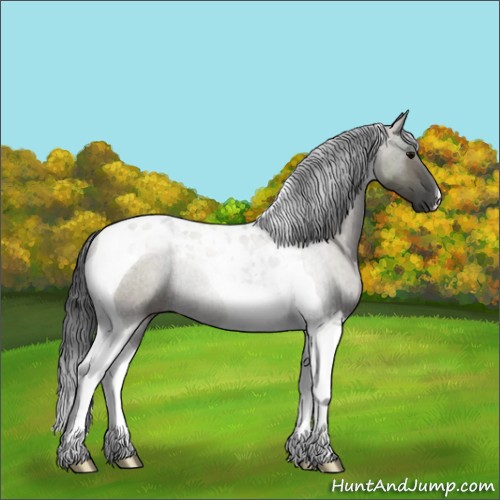 Horse Color:Grullo Tobiano Rabicano