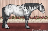 Horse Color:Brown Chinchilla Onyx Sabino Blanket 