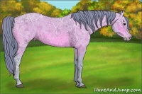 Horse Color:Watercolor Bay Ice Sabino 