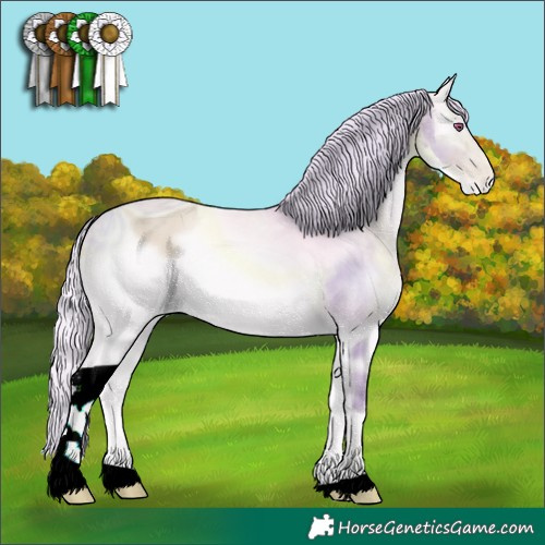 Horse Color:ERROR: UNKNOWN ANOMALY