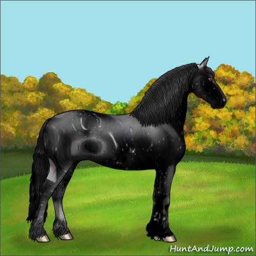 Horse Color:ERROR: UNKNOWN ANOMALY