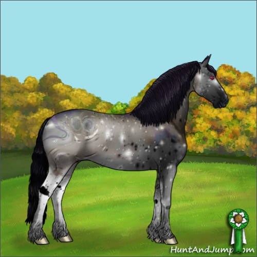 Horse Color:ERROR: UNKNOWN ANOMALY