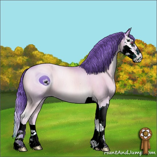 Horse Color:ERROR: UNKNOWN ANOMALY