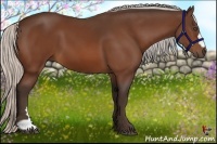 Horse Color:Silver Bay