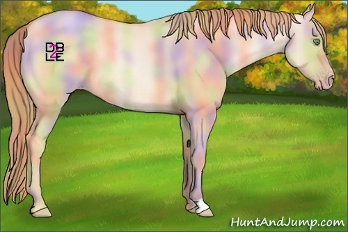 Horse Color:Nacre Gold Champagne Dun 