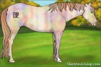 Horse Color:Nacre Gold Champagne Dun 