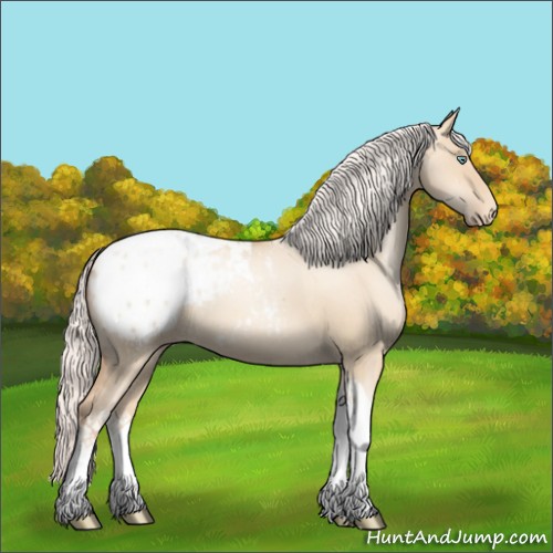 Horse Color:Silver Classic Champagne Pearl Dun Tobiano Appaloosa 