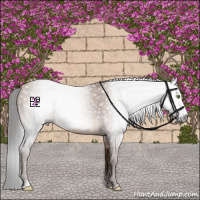 Horse Color:Gray Amber Champagne Frame 