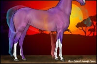 Horse Color:Watercolor Brown 