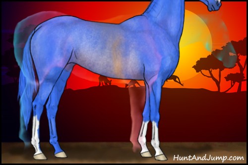 Horse Color:Watercolor Brown Rabicano