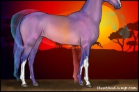 Horse Color:Watercolor Bay 
