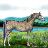 Horse Color:Painted Buckskin Ice Onyx 
