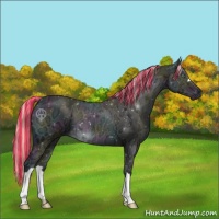 Horse Color:Painted Midnight Perlino Ice Onyx 