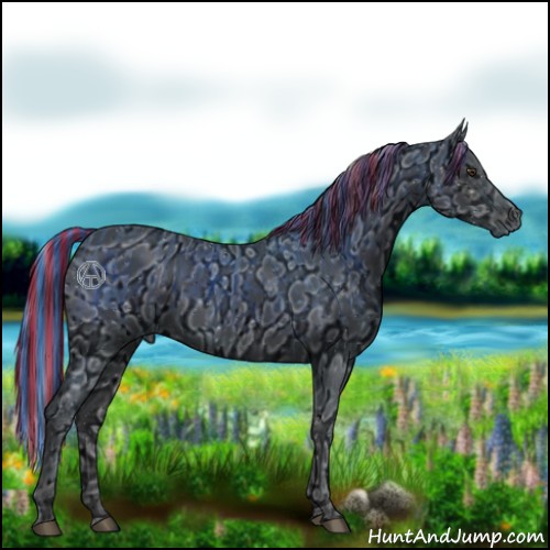 Horse Color:ERROR: UNKNOWN ANOMALY and ERROR: UNKNOWN ANOMALY