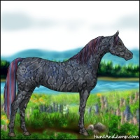 Horse Color:ERROR: UNKNOWN ANOMALY and ERROR: UNKNOWN ANOMALY