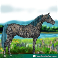 Horse Color:Painted Buckskin Ice Onyx and ERROR: UNKNOWN ANOMALY