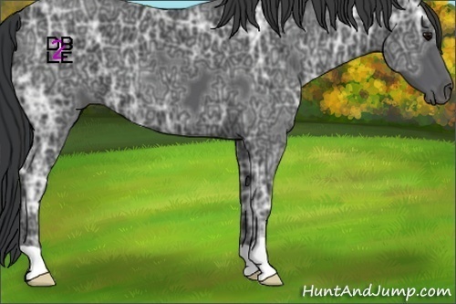 Horse Color:Black Ice 