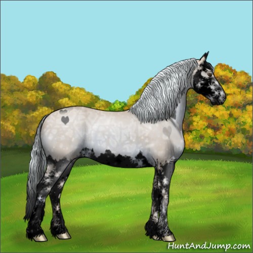 Horse Color:Void Watercolor Palomino Ice Splash