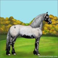 Horse Color:Void Watercolor Palomino Ice Splash