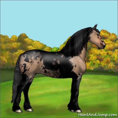 Horse Color:Void Bay Dun Tobiano Rabicano 