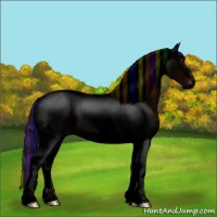 Horse Color:Void Painted Brown Tobiano Varnish Rabicano 