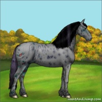 Horse Color:ERROR: UNKNOWN ANOMALY