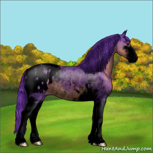 Horse Color:Void Watercolor Brown Sabino Tobiano Appaloosa Rabicano 