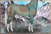 Horse Color:Silver Brown Ice Dun Splash 