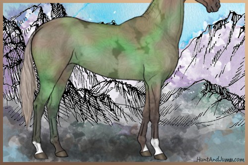 Horse Color:Silver Brown Ice Dun 