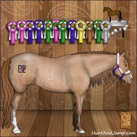 Horse Color:Bay Pearl Rabicano and Bay Pearl