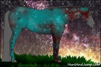 Horse Color:ERROR: UNKNOWN ANOMALY Brindle