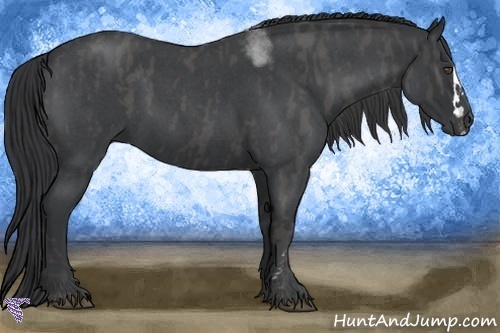 Horse Color:White Spotted Blue Roan Splash Frame Brindle