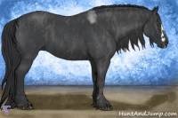 Horse Color:White Spotted Blue Roan Splash Frame Brindle