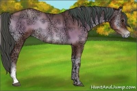 Horse Color:Brown Ice Pearl Onyx 