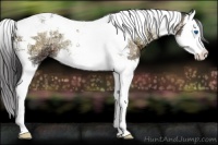 Horse Color:Buckskin Ice Onyx Splash Tobiano 