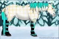 Horse Color:Plaid Liver Chestnut Chinchilla Sabino Varnish