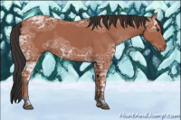 Horse Color:Bay Ice 