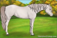 Horse Color:Platinum Chestnut Pearl 