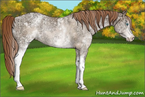 Horse Color:White Spotted Buckskin Ice Pearl Rabicano 