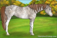 Horse Color:White Spotted Buckskin Ice Pearl Rabicano