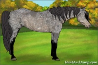 Horse Color:Void White Spotted Buckskin Ice Rabicano 