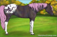 Horse Color:Watercolor Midnight Buckskin Chinchilla Tobiano Appaloosa