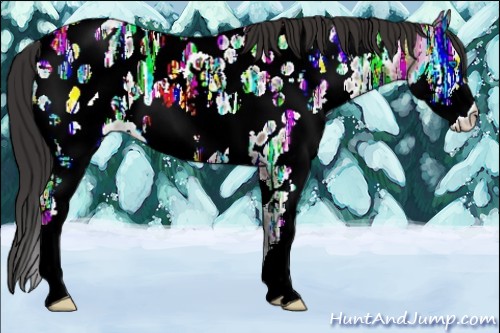 Horse Color:Brown Ice Roan Splash Appaloosa 