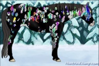 Horse Color:Brown Ice Roan Splash Appaloosa 