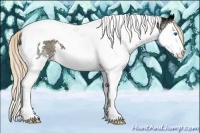 Horse Color:Chocolate Palomino Ice Splash Tobiano 
