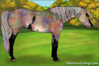 Horse Color:Void Nacre White Spotted Silver Smoky Grullo 